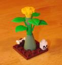 corpse-flower.jpg