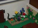 veg-garden.jpg