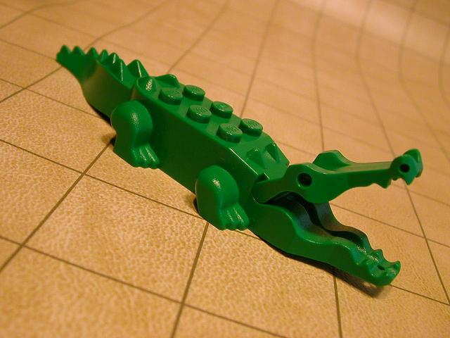 crocodile.jpg