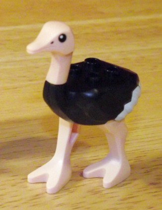 ostrich.jpg