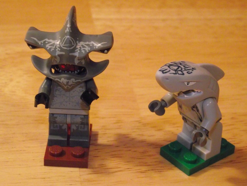 shark-warriors.jpg