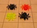 spiders.jpg
