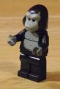 gorilla.jpg