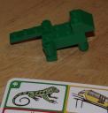 iguana-tim.jpg