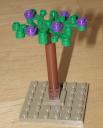 purple-blossom.jpg