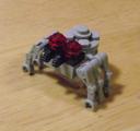 spider-medium1.jpg
