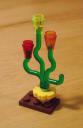 tri-flower-frond.jpg