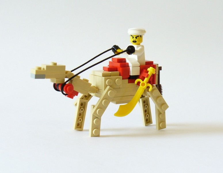 camel1.jpg