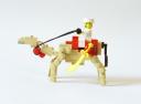 camel3.jpg