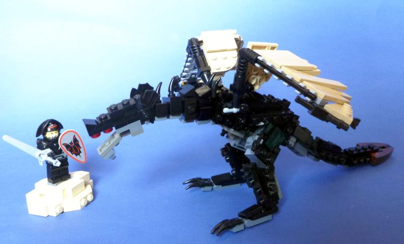 bsshrunk1.jpg