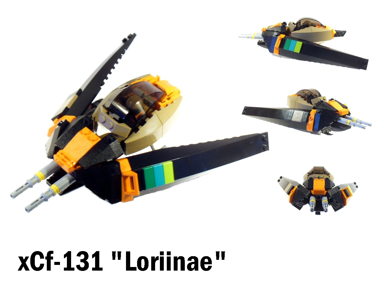 loriinae.jpg