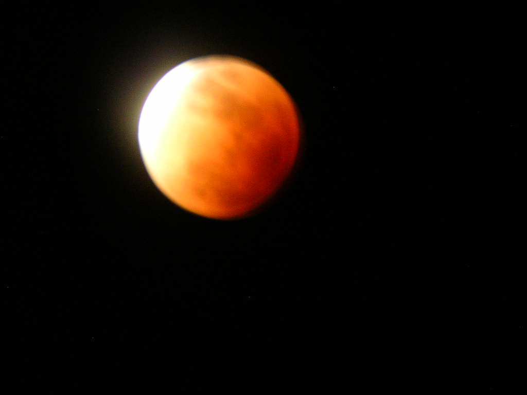 850.jpg