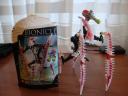 dsc01520.jpg