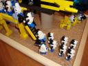 dsc00916.jpg