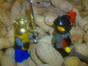 dsc00356.jpg