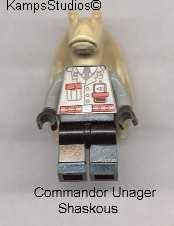 unager.jpg