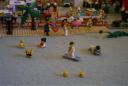 rimg0063.jpg