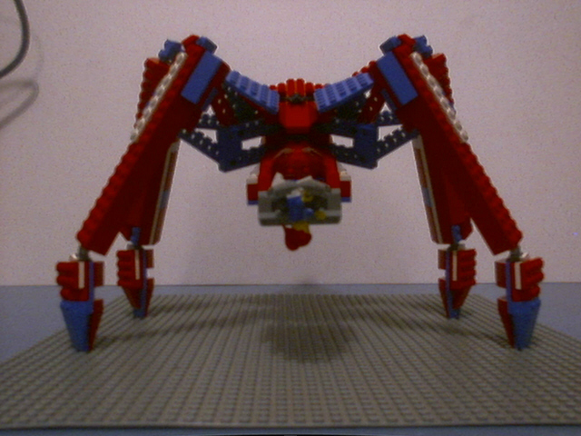 spider001.jpg