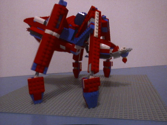 spider003.jpg