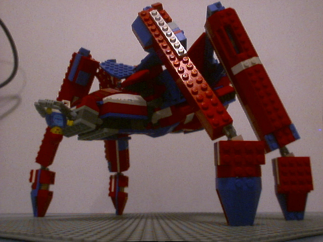 spider007.jpg