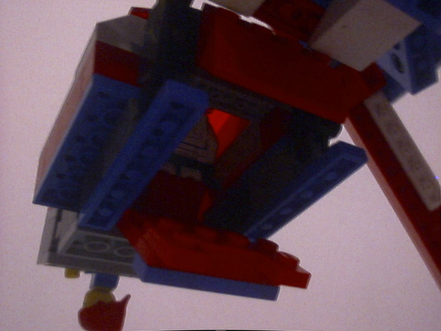 spider008.jpg