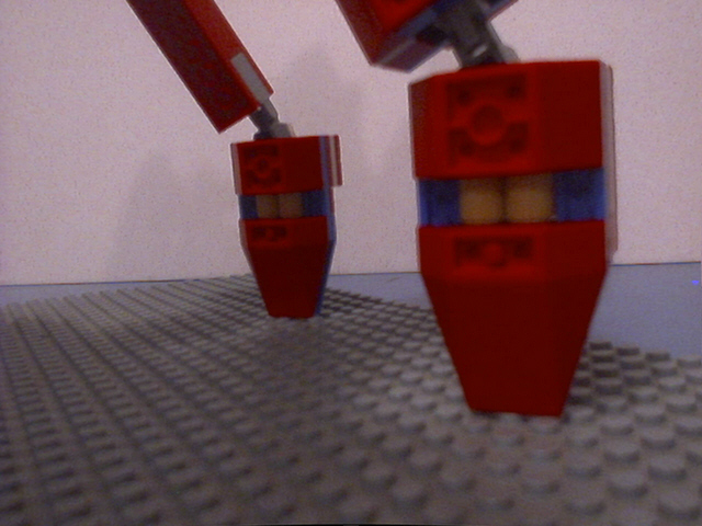 spider010.jpg