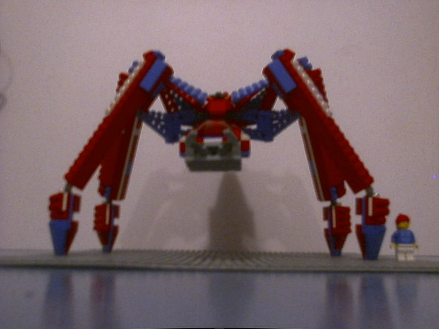 spider012.jpg