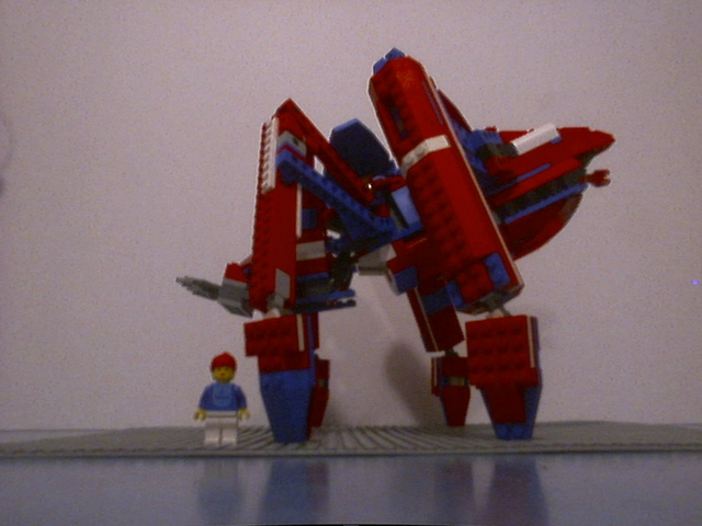 spider013.jpg