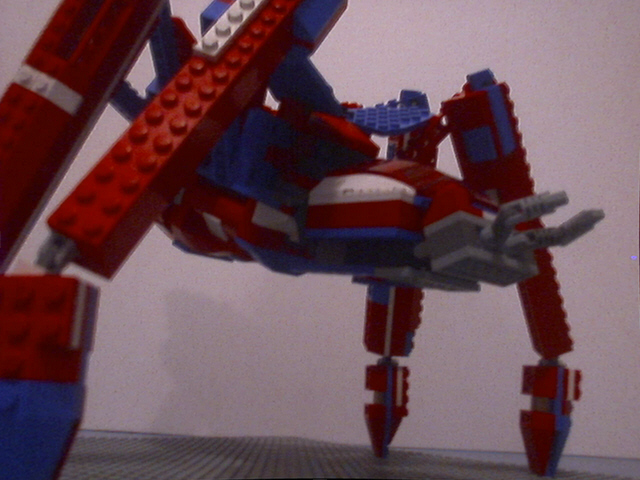 spider015.jpg