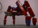 spider007.jpg