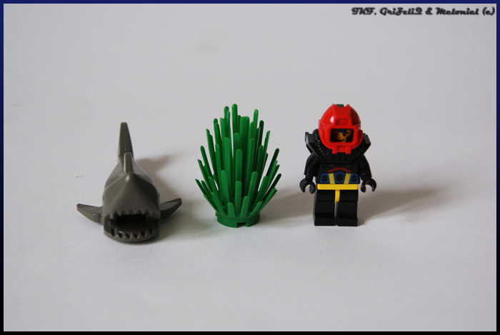 dsc03194.jpg