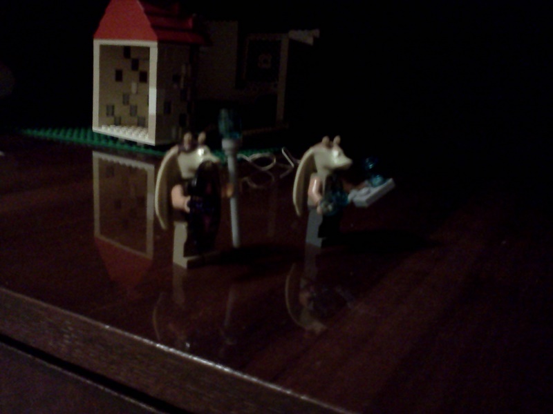 img20110108_014.jpg