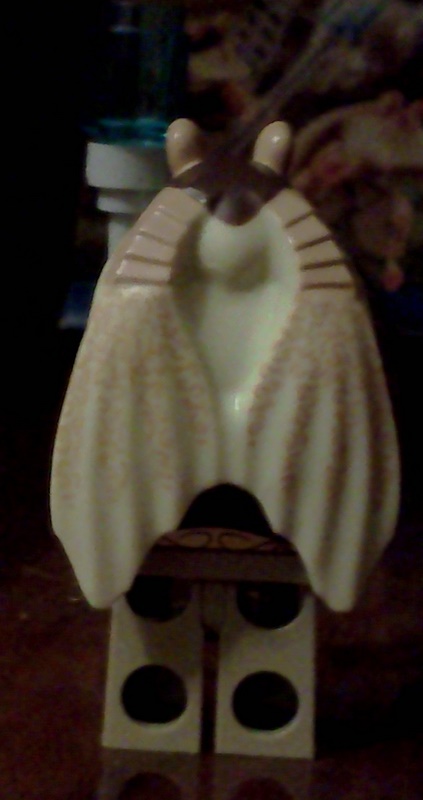 img20110108_018.jpg
