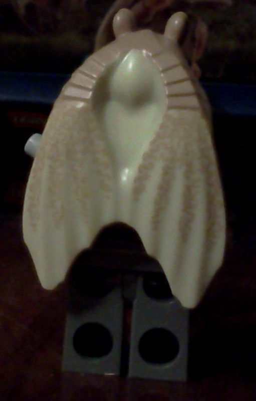 img20110108_020.jpg