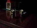 img20110108_014.jpg