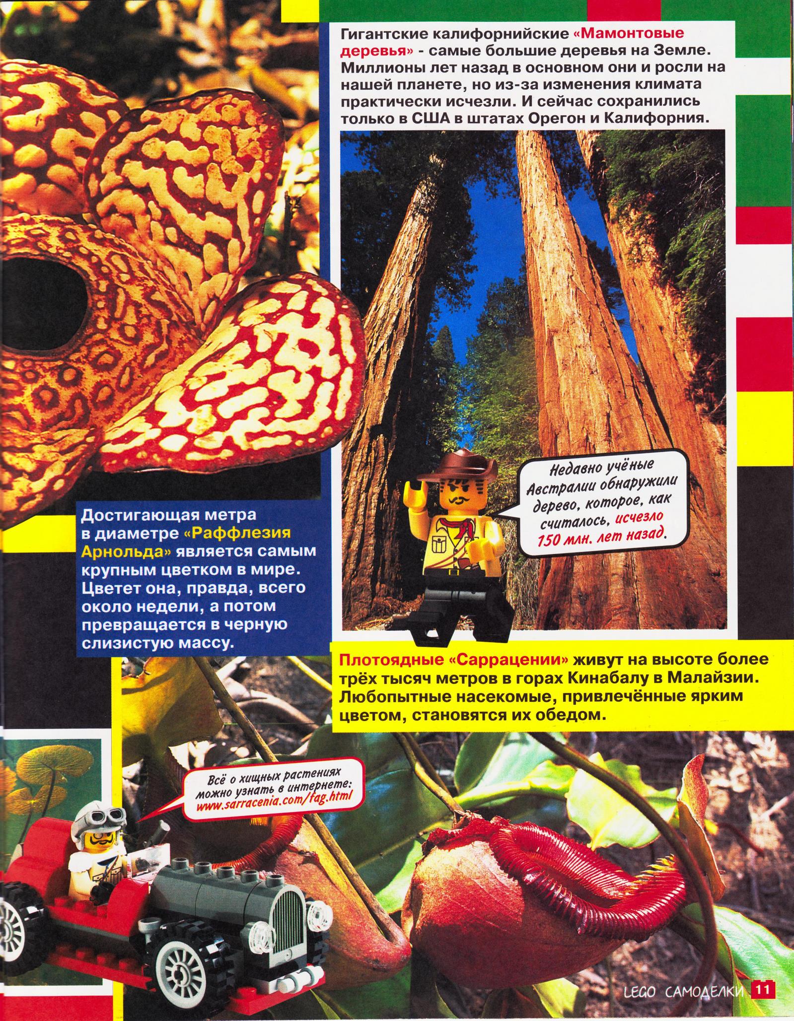 page_11.jpg