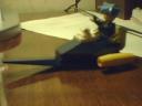 snap-unknown-20081124-011831-1.jpeg