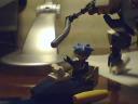 snap-unknown-20081124-012908-1.jpeg