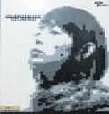 97_shoko_mosaic-2.jpg