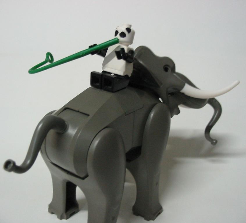 panda2.jpg
