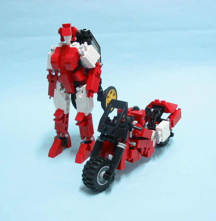 tm-100.jpg