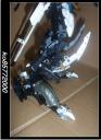 zzxz_005.jpg