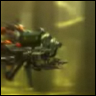 rockoh_t3_2.png