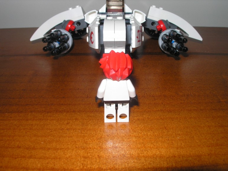 fire_eagle_03.jpg