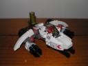 fire_eagle_11.jpg