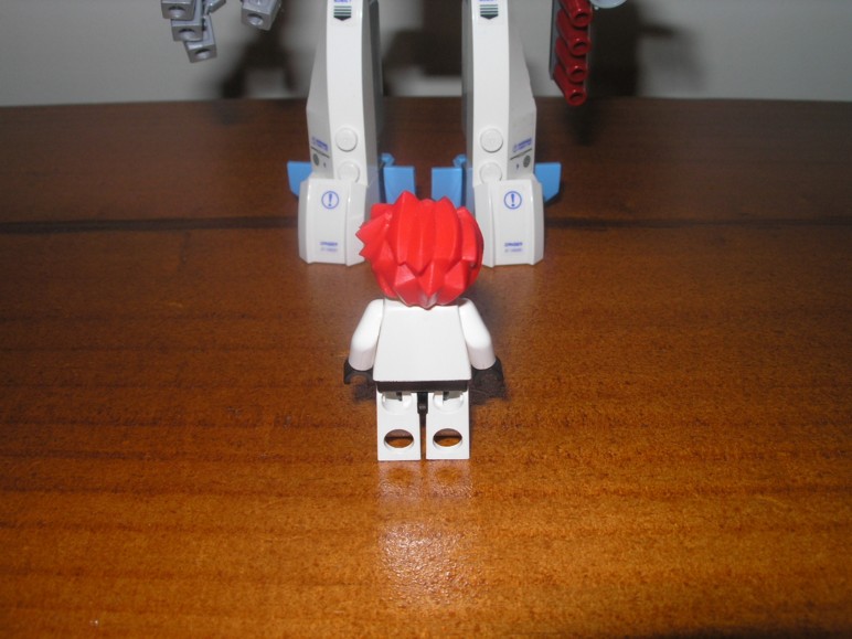 gate_defender_03.jpg