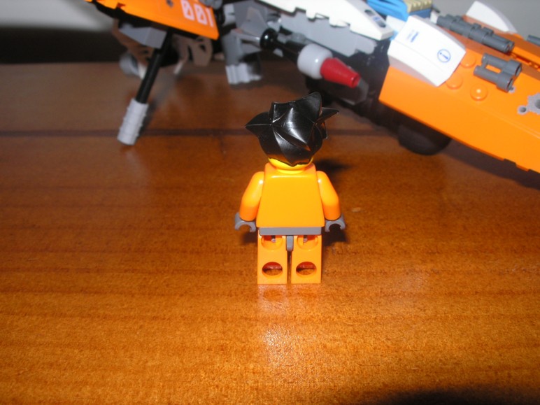 swift_03.jpg
