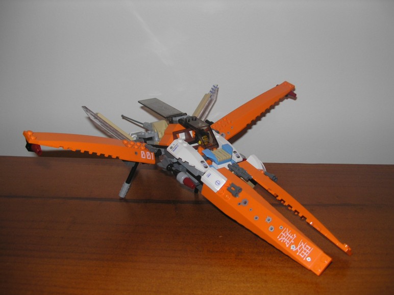 swift_13.jpg