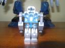 fire_vulture_03.jpg