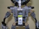 fire_vulture_09.jpg